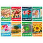 Glückwunschkarten 100er Kommunion sortiert, 8 Motive...