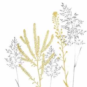 Servietten 33x33cm Simple Elegance gold, 3-lagig, 20 Stück