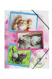 Pagna Gummizugmappe A4 PP Katzen 3 Einschlagklappen