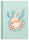 RNK Kladde Axolotl A5 kariert 96Bl