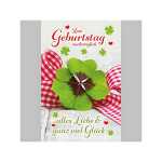 SKOR Glückwunschkarten Geburtstag Nachträgl.Glückw. sort 1St