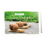 SKOR Glückwunschkarten Geburtstag Nachträgl.Glückw. sort 1St