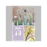 SKOR Glückwunschkarten Geburtstag " Zahl - 75 " sortiert 1St