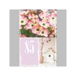 SKOR Glückwunschkarten Geburtstag " Zahl - 85 " sortiert 1St