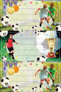 TSI Namensetiketten "Jugendfussball", 3 Blatt