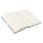 Goldbuch Notizbuch A5 Elephants