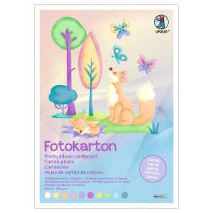 FOTOKTN.300G.DIN A3"PASTELL",10BL.10F.SORTIERT