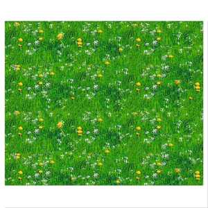 MOTIV-FOTOKARTON 300G.49,5x68CM,WIESE