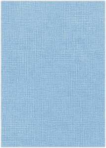 STRUKT.VINT.1, 220G.DIN A4,25BL.VERGISSMEINN: