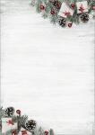 Weihnachts-Motiv-Papier Tannenzweige grün/rot/braun...