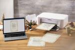 Weihnachts-Motiv-Papier - Tannenzweige - gold - 90...