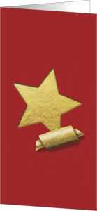 Sigel Weihnachts-Karte DL 250g 10+10St DS080