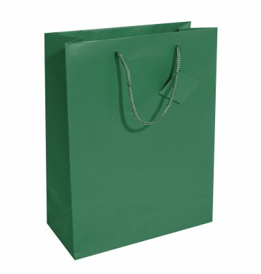 SIGEL GT500 Geschenktasche SIGEL groß - opalgrün - grün - mit Bodeneinlage, Geschenkanhänger und farblich abgestimmten Tragekordeln - Weißkarton, Kunststoff - 26 x 33 x 12 cm