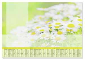 Papier-Schreibunterlage - Margeriten gelb/weiß/hellgrün ca A2 30 Blatt