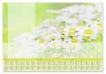 Papier-Schreibunterlage - Margeriten...