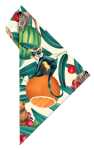 Geocover 16 cm, tropic life mit Geodreieck® AR1552
