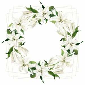Serviette 33x33cm Madonna Lily Wreath, 3-lagig, 20 Stück, ti-flair