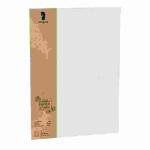 Briefpapier A4 Terra Flanell 5er, Flächenmasse 120...