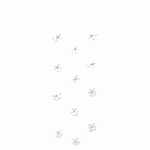 Sticker Nature Flowers Small Blossom white
