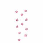 Sticker Nature Flowers Small Roses