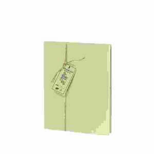 Briefpapier-Set 10/10 Terra Kiwi, Briefpapierpack,