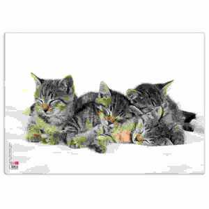 Veloflex Posterunterlage Katzen 350x500 mm
