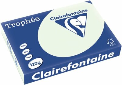 Trophee farbiges Papier, DIN A4, 120g/qm, lindgrün, 250 Blatt, VE = 1 Packung = 250 Blatt