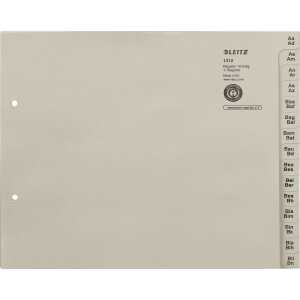 LEITZ Tauenpapier-Register, A-Z, fü r 12 Ordner, grau (80131285)
