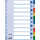 ESSELTE Register blanko A4 PP 10teilig + Deckblatt farbig