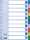 ESSELTE Register blanko A4 PP 10teilig + Deckblatt farbig