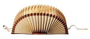 LEITZ Schriftenordner, A4, 1-31, 31 Fächer, braun (80563100)